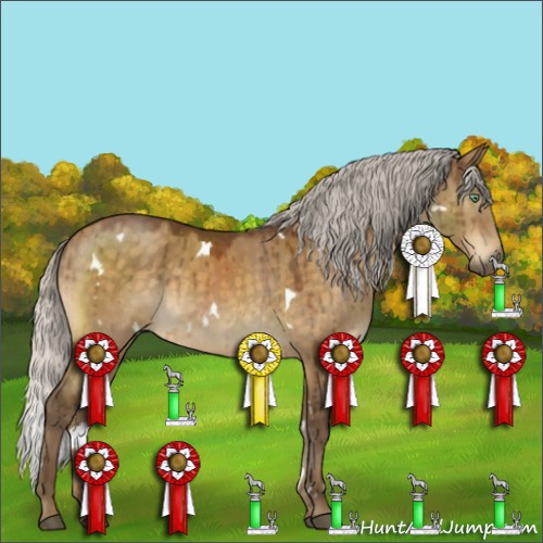 Horse Color:White Spotted Silver Buckskin Dun 