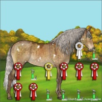 Horse Color:White Spotted Silver Buckskin Dun 