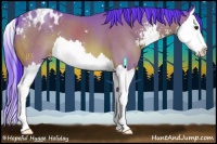 Horse Color:Watercolor Bay Sabino Splash Appaloosa 