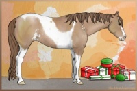 Horse Color:Black Pearl Sabino Tobiano Rabicano 