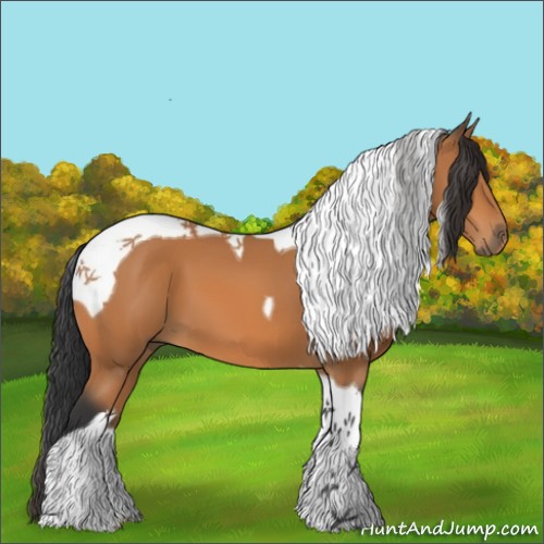 Horse Color:Bay Tobiano 