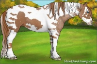 Horse Color:Chestnut Splash Tobiano 