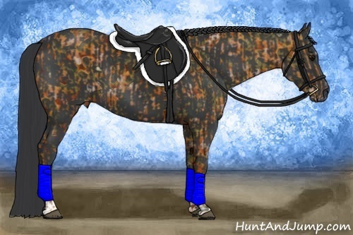 Horse Color:Black  and Black 