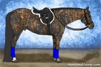 Horse Color:Black and Black