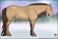Horse Color:Sable Cream Champagne 
