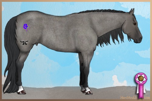 Horse Color:Grullo Roan 