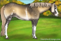 Horse Color:White Spotted Chocolate Palomino Onyx Mushroom