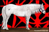 Horse Color:Silver Brown Sabino Splash 