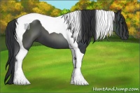 Horse Color:Black Tobiano