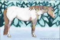Horse Color:Nacre Red Dun Sabino Snowcap 