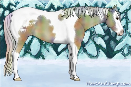 Horse Color:Nacre Palomino Splash Tobiano Varnish 