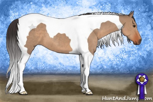 Horse Color:Bay Dun Tobiano 