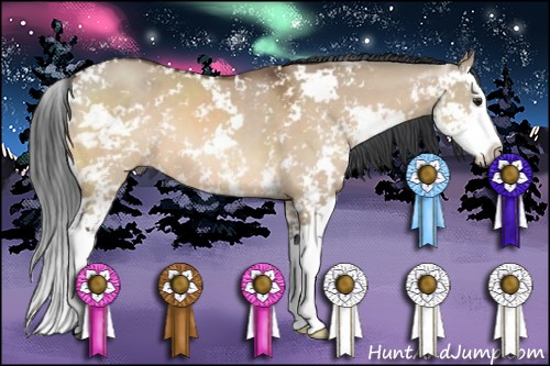 Horse Color:Brown Dun Sabino Splash 