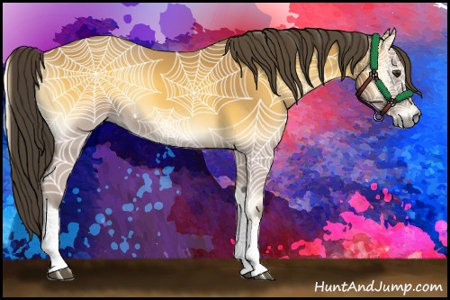 Horse Color:Buckskin Onyx 