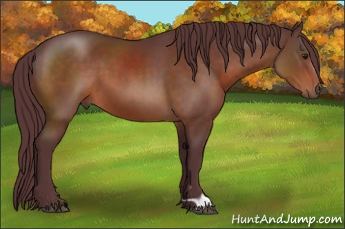 Horse Color:Chocolate Brown 