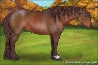 Horse Color:Chocolate Brown 