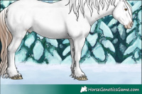 Horse Color:Brown Pearl Sabino Splash Appaloosa 