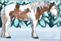 Horse Color:Chocolate Silver Brown Sabino Splash Tobiano Rabicano