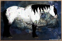 Horse Color:Liver Chestnut Chinchilla Ice Splash