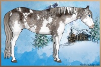 Horse Color:White Spotted Liver Chestnut Ice Splash Rabicano 