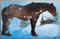 Horse Color:White Spotted Brown Ice Rabicano 