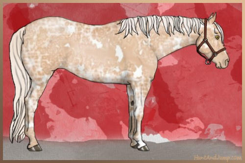 Horse Color:White Spotted Silver Bay Ice Pearl Rabicano 