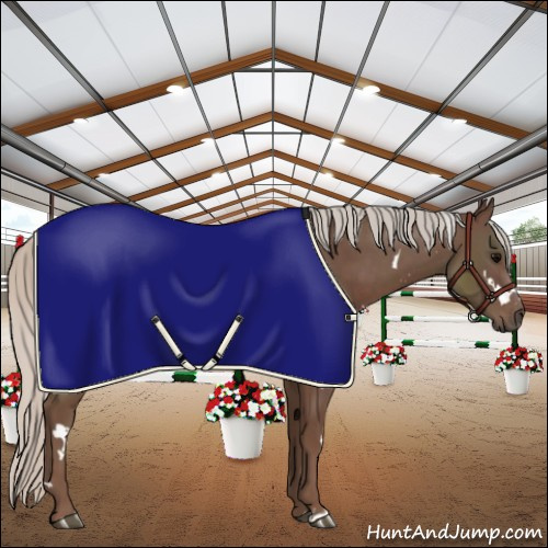 Horse Color:White Spotted Silver Black Rabicano