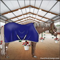 Horse Color:White Spotted Silver Black Rabicano