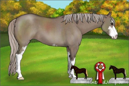 Horse Color:Silver Grullo Roan Sabino