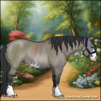 Horse Color:Grullo Sabino Rabicano 