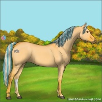 Horse Color:Painted Palomino Dun 