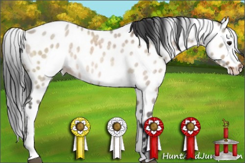 Horse Color:Brown Roan Dun Sabino Leopard Brindle