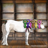Horse Color:Black Pearl Sabino Tobiano