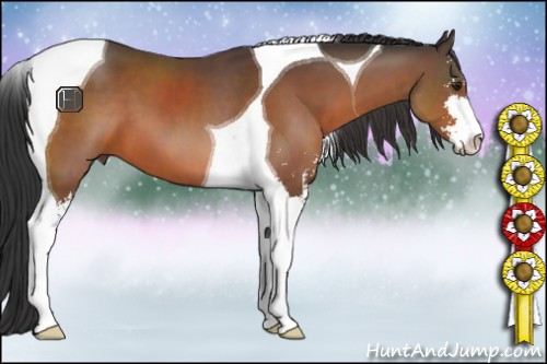 Horse Color:Brown Sabino Tobiano 