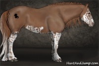 Horse Color:Chestnut Splash Frame  and Chestnut Splash Frame 