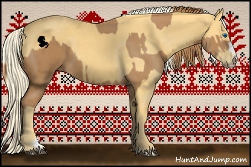 Horse Color:Chestnut Splash Frame  and Palomino Splash Frame 