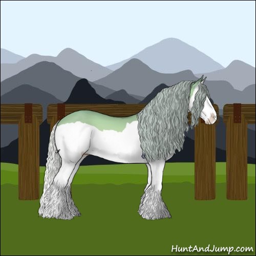 Horse Color:Silver Brown Chinchilla Dun Splash 