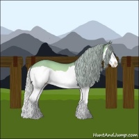 Horse Color:Silver Brown Chinchilla Dun Splash 