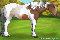 Horse Color:Bay Tobiano 
