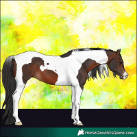 Horse Color:Brown Tobiano 