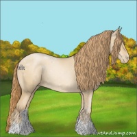 Horse Color:Smoky Black Pearl 