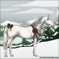 Horse Color:Gold Cream Champagne Ice Pearl Sabino Appaloosa 