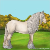 Horse Color:Palomino Roan Pearl