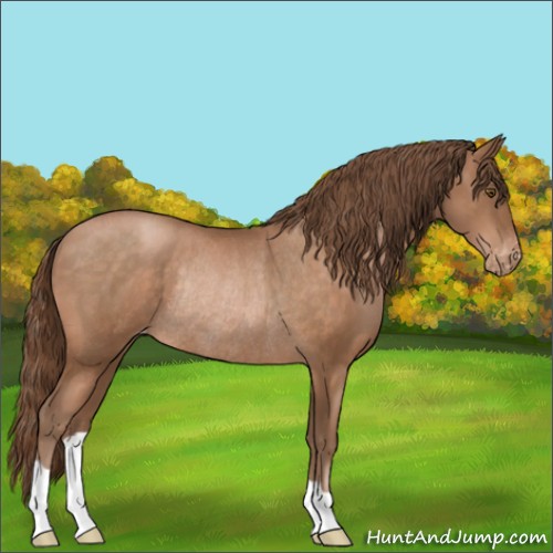 Horse Color:Brown Pearl Varnish Rabicano 