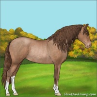 Horse Color:Brown Pearl Varnish Rabicano