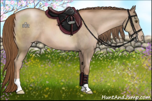Horse Color:Liver Chestnut Pearl 