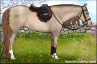 Horse Color:Liver Chestnut Pearl 