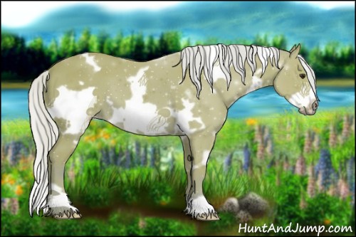 Horse Color:Watercolor White Spotted Silver Brown Frame 