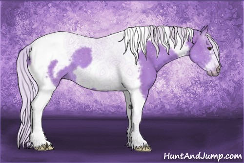 Horse Color:Watercolor Silver Bay Tobiano Frame