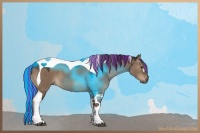 Horse Color:Painted Liver Red Dun Tobiano 